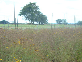 DSC03984
