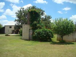 DSC03996