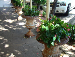 DSC04076