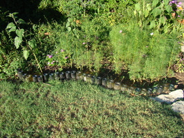 DSC04104