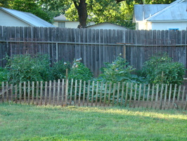 DSC04126