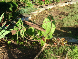DSC04129