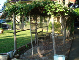 DSC04131