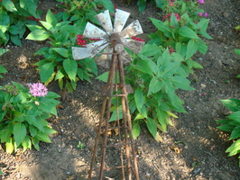 DSC04132