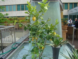 DSC03724