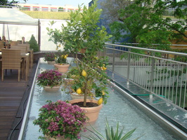 DSC03725