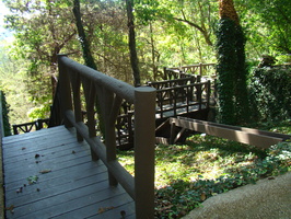 DSC04307