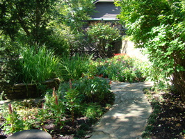 DSC04311