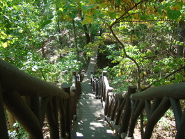 DSC04315