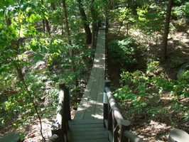 DSC04316