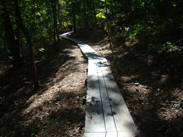 DSC04319