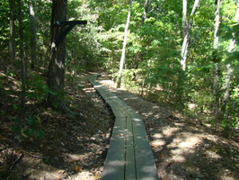 DSC04340