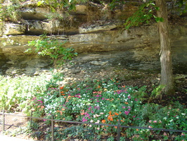 DSC04348