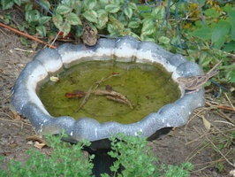 DSC04419