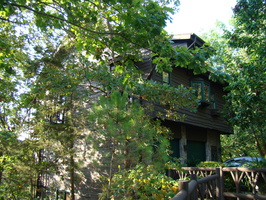 DSC04534