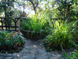 DSC04552