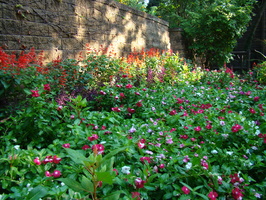 DSC04555