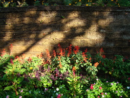 DSC04558