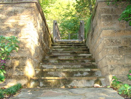 DSC04560