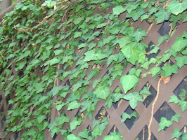 DSC04571