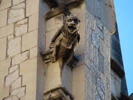 DSC00030