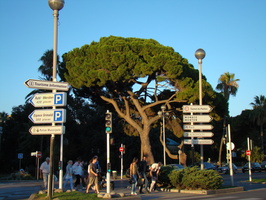 DSC00083