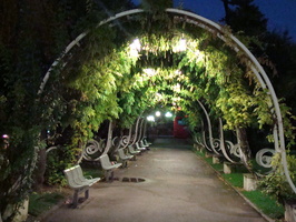 DSC00194