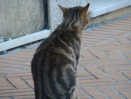 DSC00258