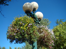 DSC00277