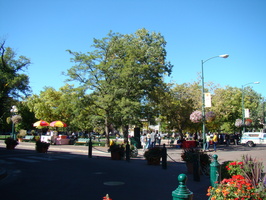 DSC00286