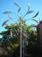 DSC00311