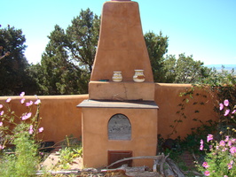 DSC00353