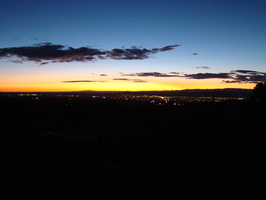 DSC00429