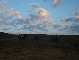 DSC00483