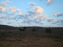 DSC00484