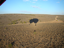 DSC00510