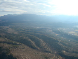 DSC00591