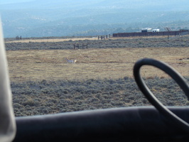 DSC00606