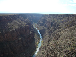 DSC00631