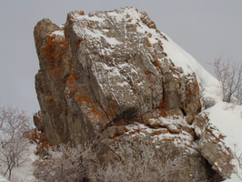 DSC01095