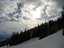 DSC01141