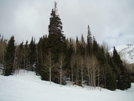 DSC01147