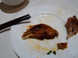 DSC01559