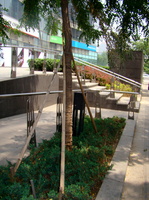 DSC01596