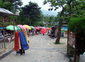 DSC01842