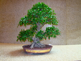 DSC01869