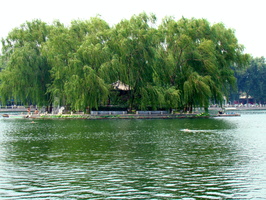 DSC01893