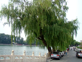 DSC01909
