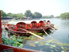 DSC01942