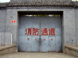 DSC01951